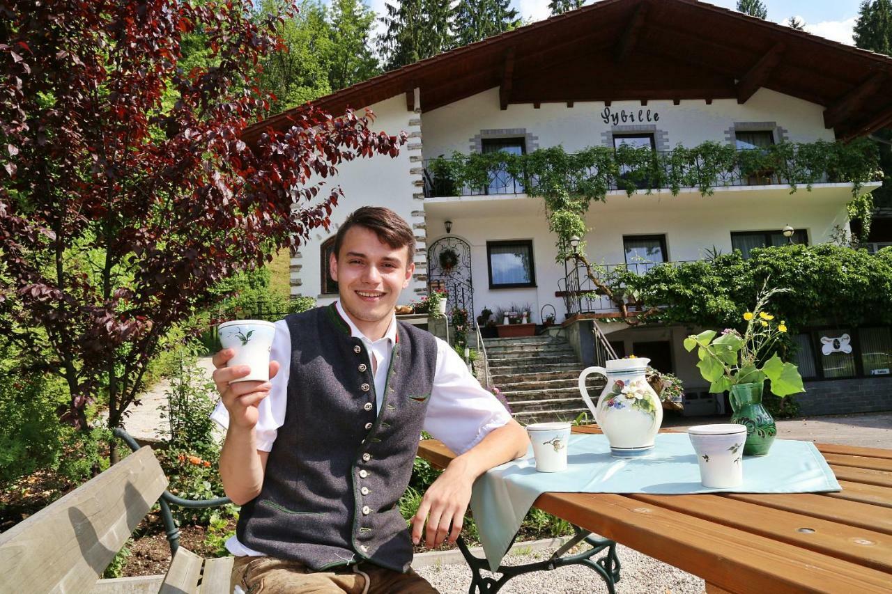 Pension Sybille Ebensee Exteriör bild